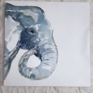 Elephant Canvas